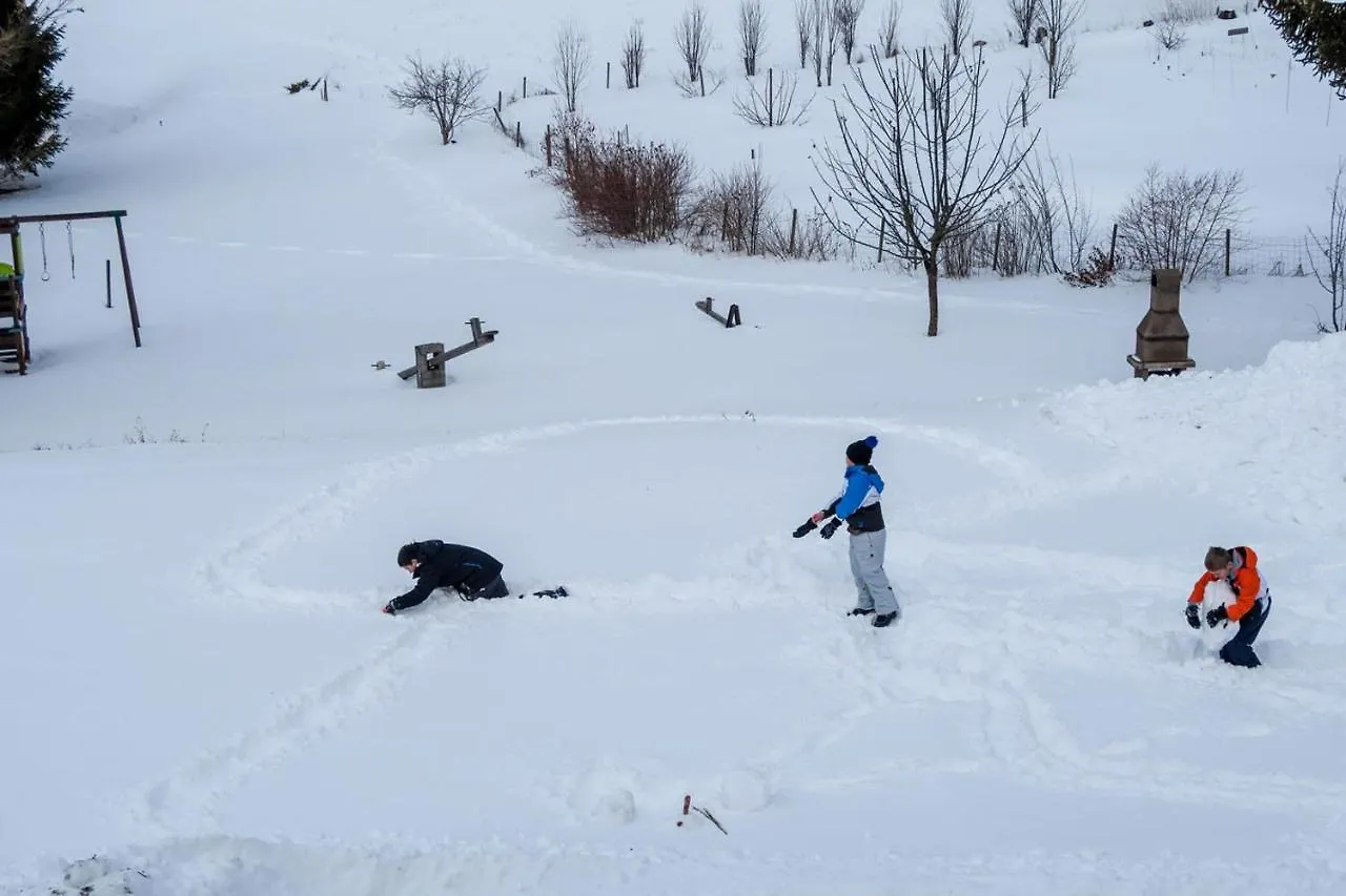 Gîte SOLDANELLE - 15 personnes - Les Gites du Chalet à Autrans Autrans-Meaudre-en-Vercors